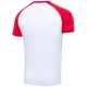 Футболка игровая CAMP Reglan Jersey JFT-1021-012, белый/красный