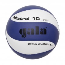 Мяч волейбольный GALA Mistral 10 тренировочный клееный (PU) BV 5661 S Сине-белый